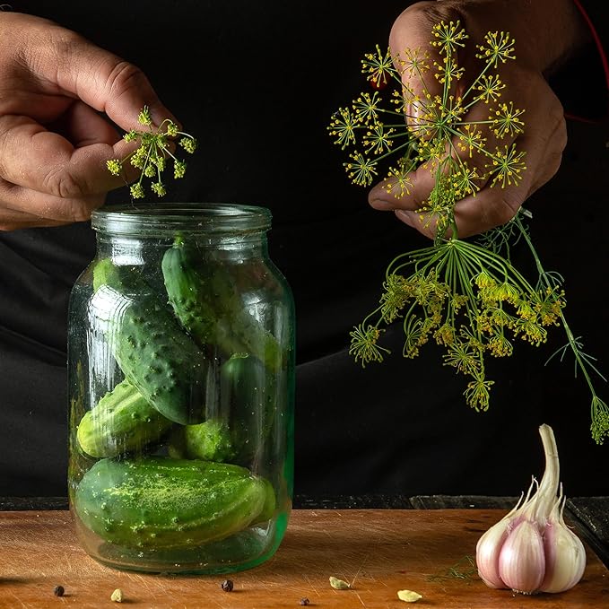 Organic Boston Pickling Cucumber Seeds - USDA Organic, Non-GMO, Open Pollinated, Heirloom, USA Origin (1 Packet - 4 Grams - Approx 100 Seeds)