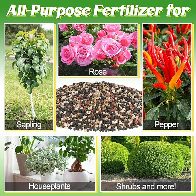 10-10-10 Slow-Release Premium Fertilizer - All-Purpose Plant Food for Indoor Outdoor Gardening Vegetables Flowers Lawn Trees Shrubs, 1 Quart