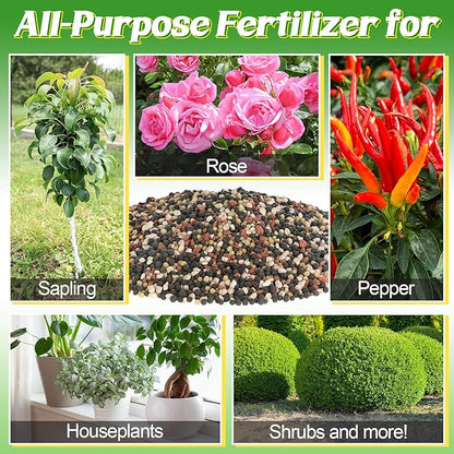 10-10-10 Slow-Release Premium Fertilizer - All-Purpose Plant Food for Indoor Outdoor Gardening Vegetables Flowers Lawn Trees Shrubs, 1 Quart