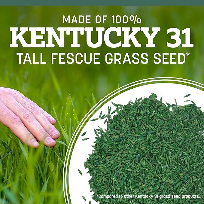 Pennington 100% Kentucky 31 Tall Fescue Penkoted Grass Seed 3 lb