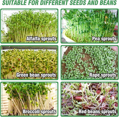 Aulock Stainless Steel Seed Sprouting Kit - 3-Tier Microgreens Growing Tray 7.9 in Dia, Stackable Round Sprouter Maker with Encrypted Mesh, Sprouts Grower for Beans Broccoli Alfalfa Seeds Wheat Grass