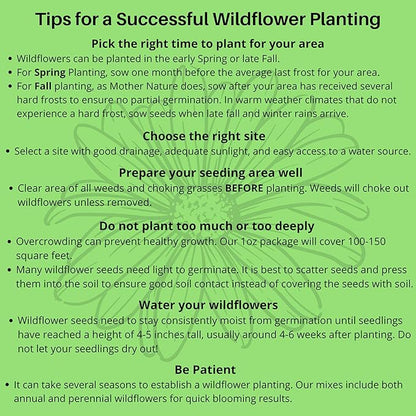 BBB Seed Partial Shade Wildflower Seeds 4oz - Open-Pollinated Wildflower Seed Mix Packet, No Fillers, Annual, Perennial Wildflower Seeds for Planting Year Round, 1/4 Pound