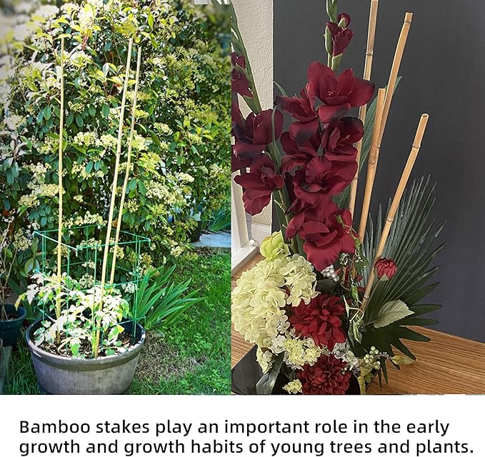 50Pcs Garden Stakes, 0.32”/16 Inch Bamboo Sticks，Natural Plant Stakes for Indoor and Outdoor Plants，Poles for Tomatoes, Beans, Potted Plants