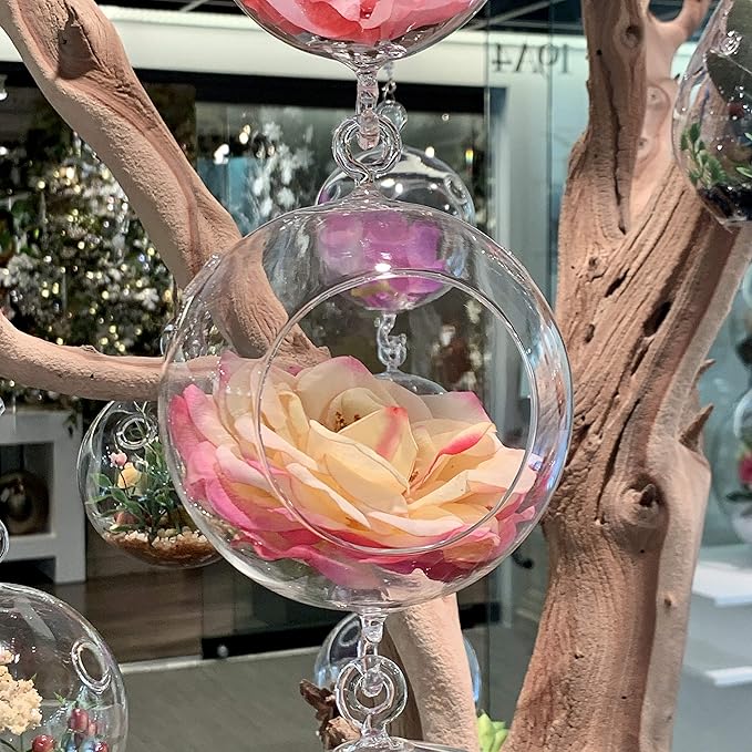 WGV Hanging Terrarium Globe, Width 5", Height 7", Double Hook, DIY Air Succulent Planter, Clear Glass Vase Orb, Candle Holder for Windowsill Outdoor Garden Decor, 6 Pieces Bulk