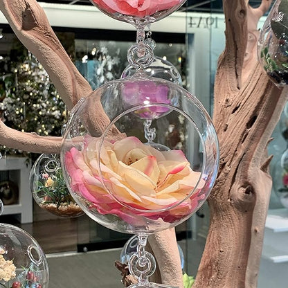 WGV Hanging Terrarium Globe, Width 5", Height 7", Double Hook, DIY Air Succulent Planter, Clear Glass Vase Orb, Candle Holder for Windowsill Outdoor Garden Decor, 6 Pieces Bulk