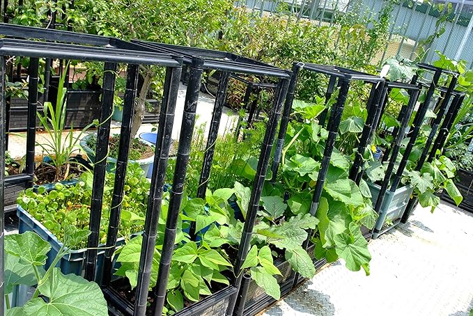 Climbing Vegetable & Tomato Planter with Wheels & 14" Depth Planter Box - Non-Toxic Sun Protected Material | 24" L X 18" W X 50" H | Vegetable & Herb Backyard Patio