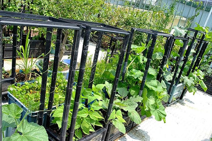 Climbing Vegetable & Tomato Planter with Wheels & 14" Depth Planter Box - Non-Toxic Sun Protected Material | 24" L X 18" W X 50" H | Vegetable & Herb Backyard Patio
