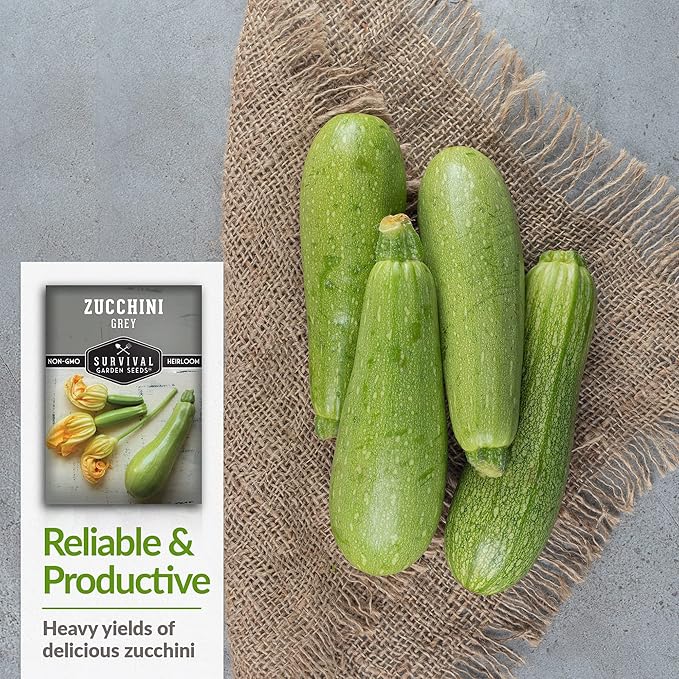 Survival Garden Seeds - Grey Zucchini Seed for Planting - 3 Packs with Instructions to Plant and Grow Mexican Summer Squash in Your Home Vegetable Garden - Non-GMO Heirloom Variety