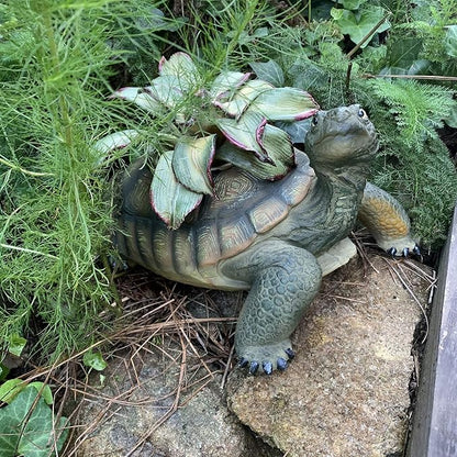 homestyles Call of The Wild 13 in. Realistic Box Turtle Planter Garden Statue Hold a 5" Pot Natural Finish