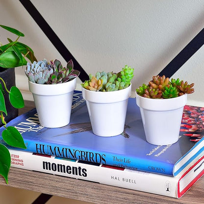 Youngever 10 Pack 3 Inch Mini Plastic Planters Indoor Flower Plant Pots, White Gardening Pot with Drainage for All House Plants, Flowers, Herbs, Succulents, NO Plant Included (Classic)