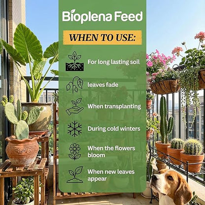 Cactus & Succulent Plant Food | Concentrated Nutrient Solution for Indoor & Outdoor Plants | Made in USA | Promotes Growth & Blooms