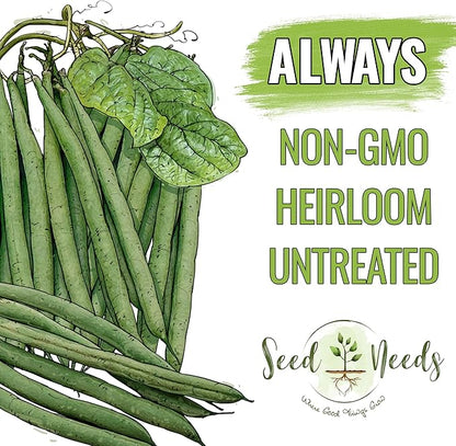 Seed Needs Bush Bean Seeds for Planting Slenderette Beans | 2 Ounce Non-GMO Heirloom & Untreated | Vegetable Seed to Grow an Outdoor Home Grown Veggie Garden | Bulk