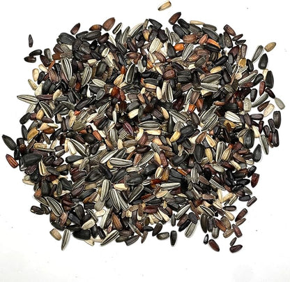 Seed Needs Sunflower Seeds to Plant Sunset Blend 7 Varieties Mix | 2000+ Seeds Helianthus Annuus Heirloom Open Pollinated Bulk Flower Seed | Multicolored Sun Flowers Garden Favorite