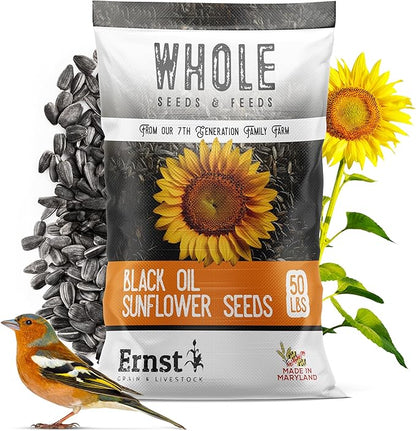 Ernst Grain & Livestock Black Oil Sunflower Seeds - Birdseed for Outside Feeders Wild Bird Food - Ideal Bird Seed for Cardinals, Woodpeckers and More - Non-GMO, 50lb