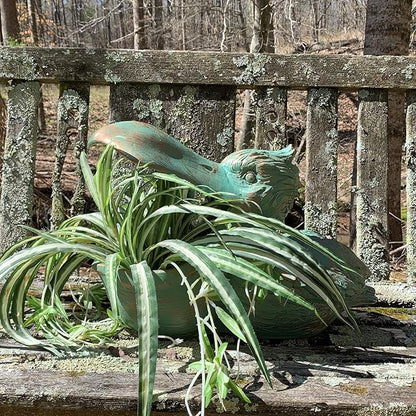 Homestyles 18 in. Pelican Planter and Shell Holder Beach Collectible Statue