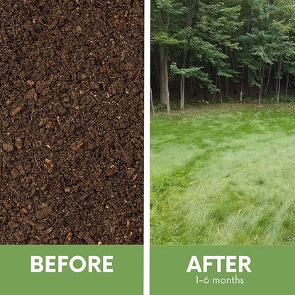 Flawn Seed Kits Simple Lawn Mow Less Fine Fescue Eco-Grass Seed, 8 Lbs, Low Maintenance, Pail with Handle, Covers up to 4000 Sqft