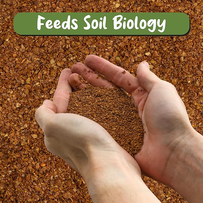 Soil Sunrise Dry Horticultural Molasses Powder (4 Pounds) Indoor/Outdoor Gardening Soil Amendment for Plants