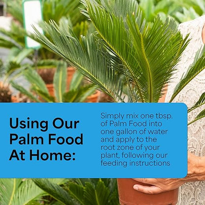 Grow More Palm Food with Yucca Extract (15-5-15) - 1.5lbs of Outdoor & Indoor Palm Tree Fertilizer - Water Soluble Fertilizer Enriched with 6 Micronutrients for Increased Growth & Foliage