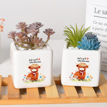Highland Cow Succulent Planter Flower Plant Pot Small, Gifts for Women Teens Girls Kids, Cow Lovers Themed Stuff Accessories Things Decor Merch, Home Office Table Desk Decoration!