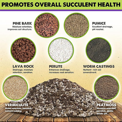 DUSPRO Succulents Soil Potting Mix – 7 in 1 Ingredients Well-Draining, Nutrient-Rich Cactus Potting Soil for Succulents and Cacti, Indoor & Outdoor Use, Ready to Use, Supports Healthy Root Growth, 8QT