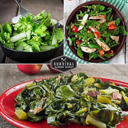 10 Power Greens Seed Collection – Heirloom Collards, Mustard, Swiss Chard, Spinach, Kale, Tatsoi, Pak Choi & More for Fall & Spring Planting | Survival Garden Seeds