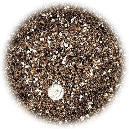 Gardenera Premium Organic Potting Soil, Succulent & Cactus Soil Mix, Fast Draining Pre-Mixed Blend - Horticultural Perlite (25%) + Peat Moss (75%) - Made in USA - 2 Quart