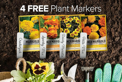 Gardeners Basics, Marigold Seeds for Planting Outdoors (4 Variety Pack) French Marigold Petite Mix, Dainty Marietta, Sparky, and African Marigold Seeds Crackerjack for Pollinators Wildflower Seed