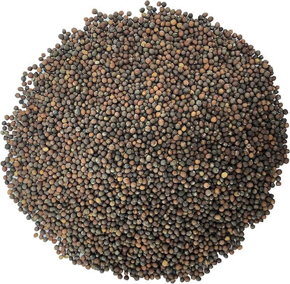 Food to Live - Kale Seeds, 1 Pound - Great for Sprouting and Planting, High Germination Rate, Non-Irradiated, Kosher, Vegan