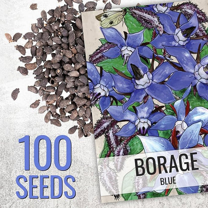 Seed Needs Borage & Chives Seeds for Planting Fresh Kitchen Herbs - Non-GMO Heirloom & Untreated Perennial Herb Seed to Plant a Culinary Garden Indoors or Outdoors (2 Packs)