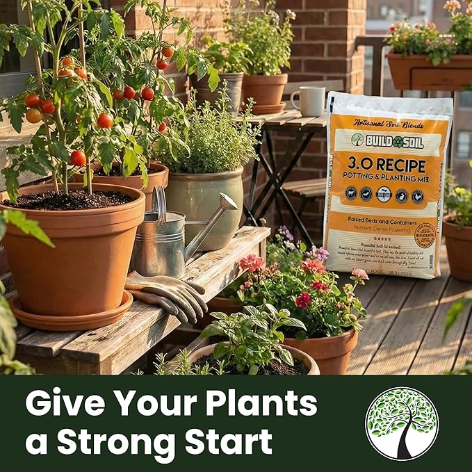 BuildASoil Potting Soil Recipe 3.0 - Organic Living Potting Soil Mix for Indoor and Outdoor Plants, Water-Only Formula, Well-Draining Indoor Garden Dirt for Full Growth Cycle - 35 lbs