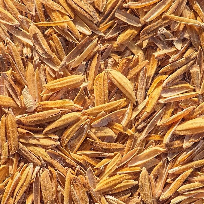 Birch & Meadow 5 lb of Rice Hulls, Gardening, Planters, Substrate