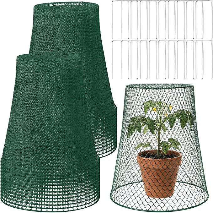 Therwen 15 Pcs Large Chicken Wire Cloche Plant Protector Cover 11x12 Inch Metal Garden Cloche Dome for Plants Wire Protection Basket with Garden Stakes Plant Cages from Animals (Green)