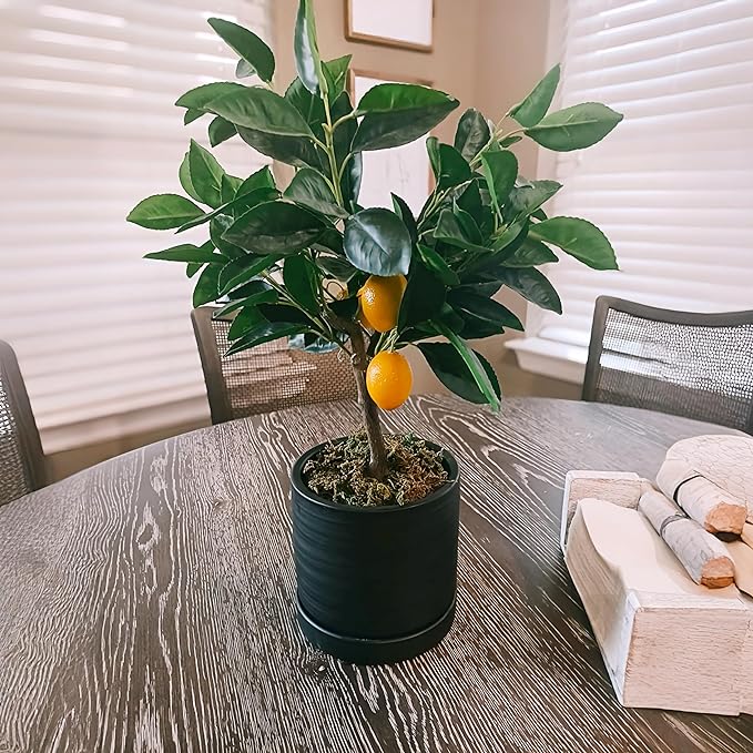 6 Inch Plant Pots, Ceramic Planter Pot with Drainage Hole & Saucer, Indoor/Outdoor Cylinder Round Planter Pot, Matte Black
