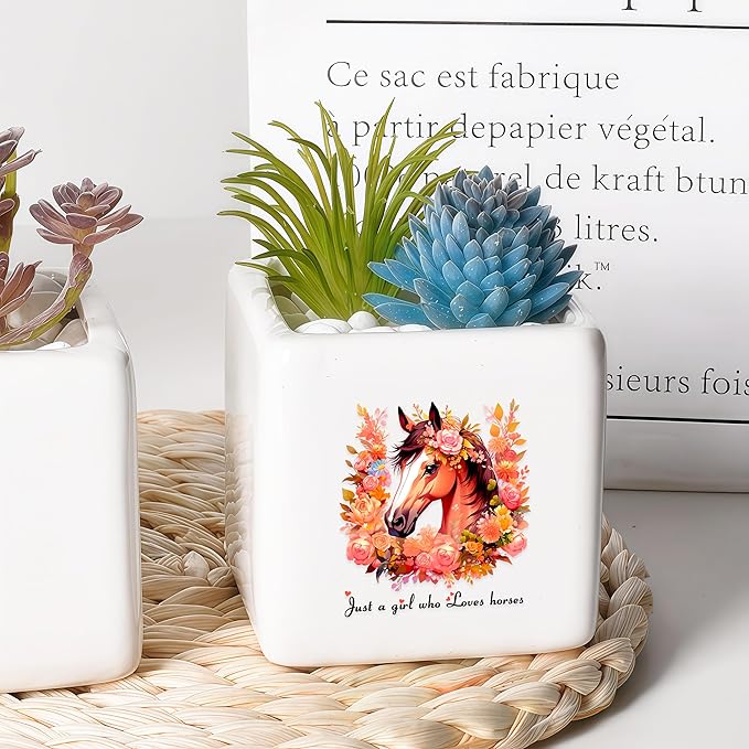 Horse Succulent Planter Flower Plant Pot Small, Gifts for Women Teens Girls Kids, Horse Lovers Themed Stuff Accessories Things Decor Merch, Home Office Table Desk Decoration!