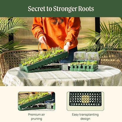 Vego garden 3-in-1 Plant & Pop Board Seedling Popper Tool, 10" x 20", Works Perfectly with Stackable Seedling Trays
