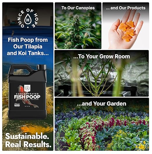 OMRI Listed Organic Concentrated Fish Poop - Liquid Fertilizer for Vegetable Gardens, Indoor Plant Food for Houseplants, Hydroponic Nutrients, Soil Amendment (4 Oz - Makes 4 Gallons)