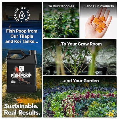 OMRI Listed Organic Concentrated Fish Poop - Liquid Fertilizer for Vegetable Gardens, Indoor Plant Food for Houseplants, Hydroponic Nutrients, Soil Amendment (1 Gallon - Makes 64)