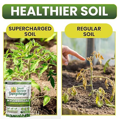 Mycorrhizal Fungi with Beneficial Bacteria, Trichoderma, Sea Kelp, Molasses, Yucca, Smart Grower Supercharge Plant Root Enhancer 2oz Super Concentrate Powder Makes 25 Gallons