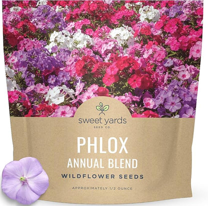 Phlox Annual Blend – Large 1/2 Ounce Seed Packet – 7,000 Flower Seeds for Planting – Phlox drummondii