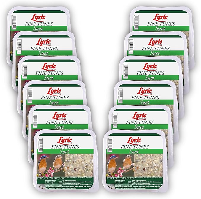 Lyric Fine Tunes No Waste Wild Bird Seed Suet Cakes for Wild Birds, 9 lb (Pack of 1)