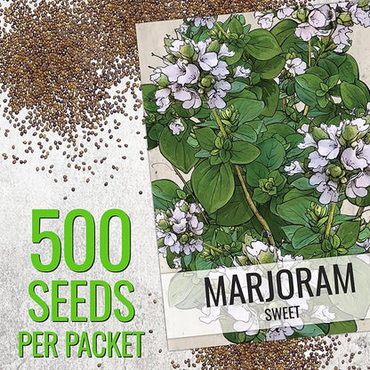 Seed Needs Sweet Marjoram & Italian Oregano Seeds for Planting Fresh Kitchen Herbs - Non-GMO Heirloom & Untreated Perennial Herb Seed to Plant a Culinary Garden Indoors or Outdoors (2 Packs)