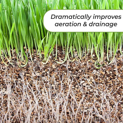 Organic Vermiculite by Perfect Plants (4qts.)