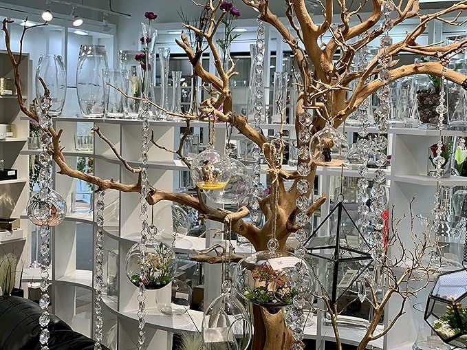 WGV Hanging Terrarium Globe, Width 5", Height 7", Double Hook, DIY Air Succulent Planter, Clear Glass Vase Orb, Candle Holder for Windowsill Outdoor Garden Decor, 1 Piece