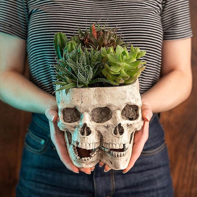 Kobi & Knight Skull Planter Pot for Indoor Plants - Skull Flower Pot in Gift Box - Gothic Planter Pot for Succulents, Brain Cactus Plants - Double Skull Planters for Halloween, Goth Home Decor