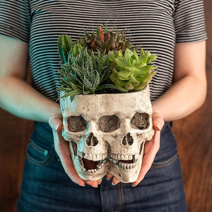 Kobi & Knight Skull Planter Pot for Indoor Plants - Skull Flower Pot in Gift Box - Gothic Planter Pot for Succulents, Brain Cactus Plants - Double Skull Planters for Halloween, Goth Home Decor