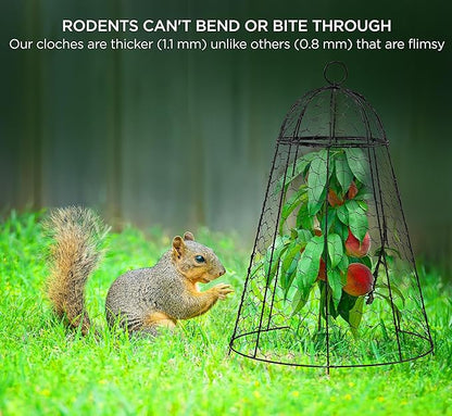 boldworks Garden Cloches for Plants Chicken Wire Cages to Protect from Animals Outdoor Extra Large Rustproof Thicker and Finer Mesh 12" x 20" Pack of 6