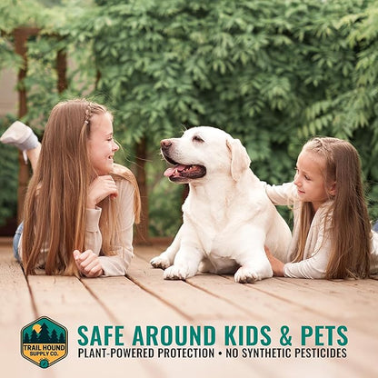Home Guard Peppermint Insect & Pest Control Spray – Peppermint & Cedarwood Oil Deodorizer with Extended Protection – USA-Made, Safe for Kids & Pets – Kills & Repels Bugs – Indoor & Outdoor Use - 16oz