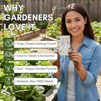 Crisphead Iceberg Lettuce Seeds for Planting - Heirloom, Non-GMO Head Variety with Dense, Crunchy Heads for Fresh Salads, Sandwiches, and Home Garden Growing | Woods Creek Seeds