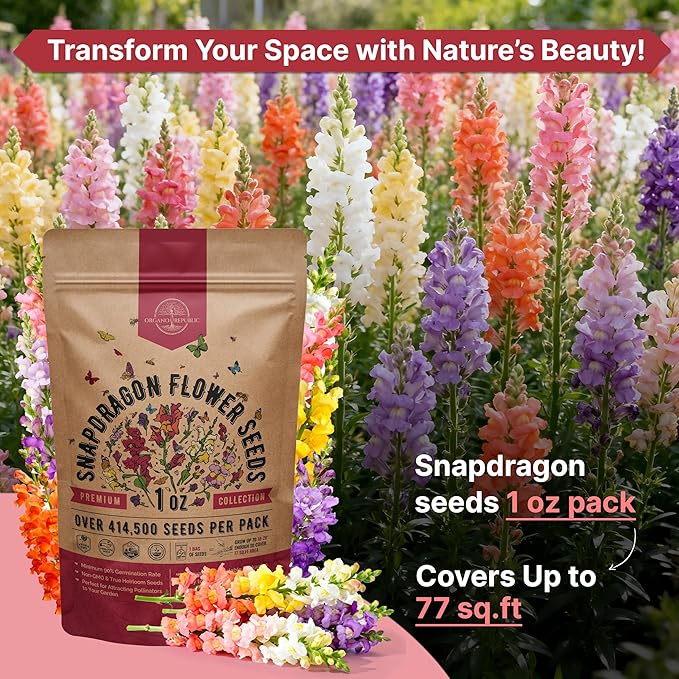Snapdragon Flower Seeds Pack 1 oz - Over 414,500 Non-GMO Heirloom Snapdragon Seeds for Planting Indoor & Outdoor Gardening, Flower Seed for Home and Garden in Individual Packet, Floral Perennial Mix