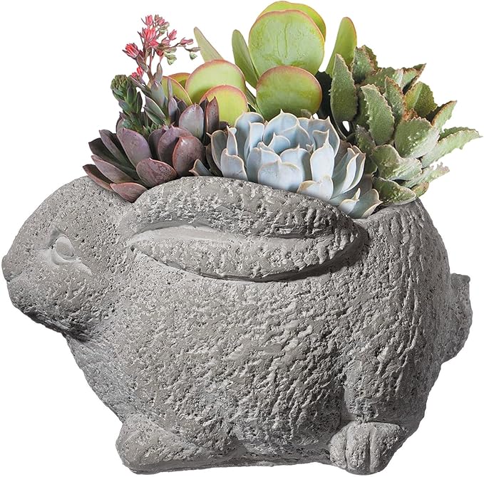 Classic Home and Garden Cement Buddies Animal Planter - Cute Desk Decoration - UV Coated Animal Vase w/Drain Plug -Succulent Plant Pot for Indoor/Outdoor Use (Rabbit Planter, Natural, Large)